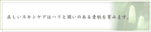 スキンケアバナー